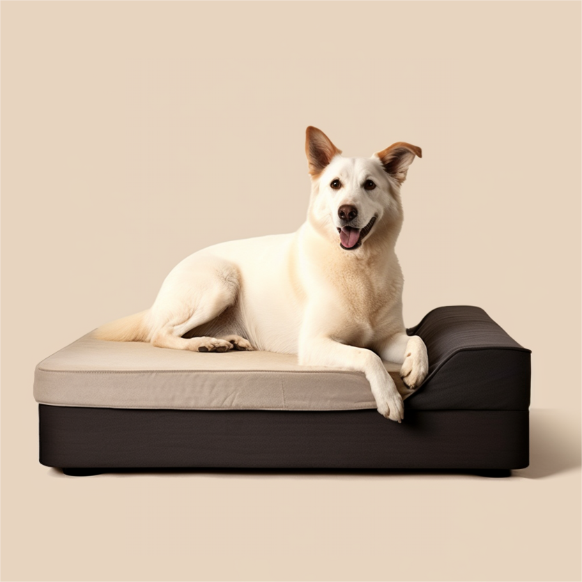 Less is More: The Magic of a Minimalist Pet Bed