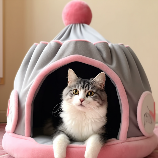 The Hat Cat Bed: Combining Style and Comfort